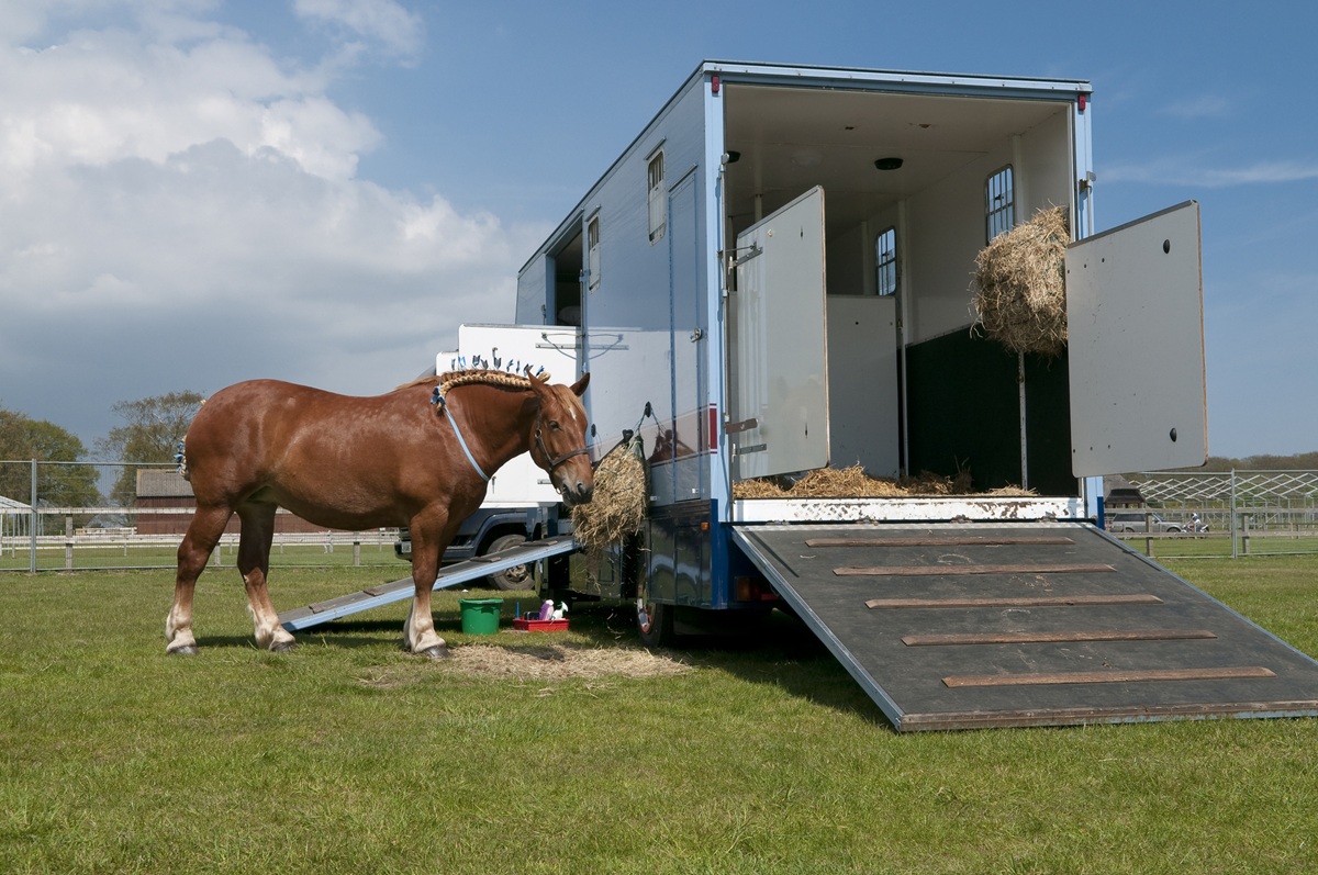 Horse truck