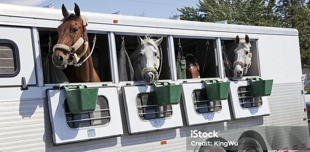 Horsebox on the road